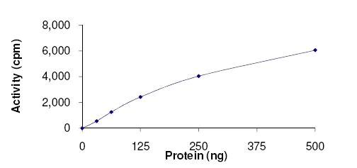 Functional Studies - Recombinant human FASTK protein (AB131693)