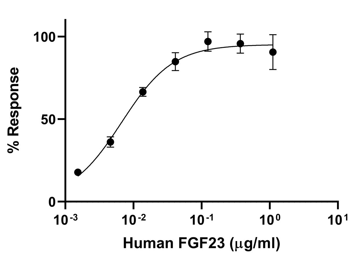 Functional Studies - Recombinant Human FGF 23 protein (Active) (AB283482)