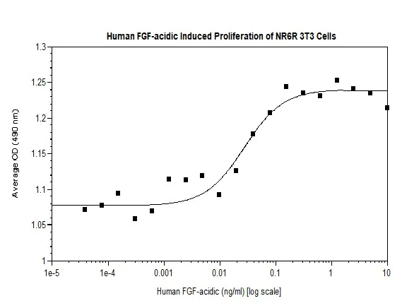 Functional Studies - Recombinant human FGF1 protein (Active) (AB269166)