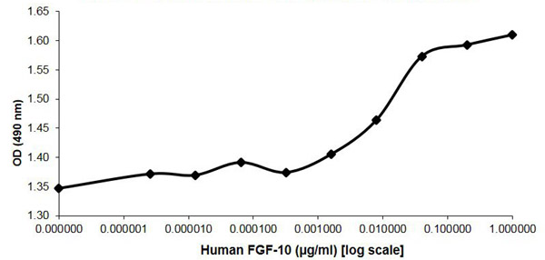 Functional Studies - Recombinant human FGF10 protein (Active) (AB218104)