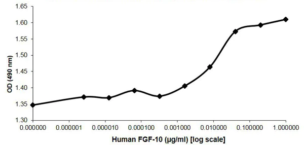 Functional Studies - Recombinant human FGF10 protein (Active) (AB218104)