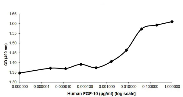 Functional Studies - Recombinant human FGF10 protein (Animal Free) (AB218085)