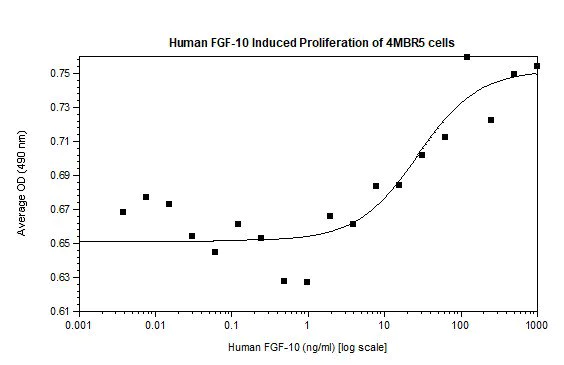 Functional Studies - Recombinant human FGF10 protein (Animal Free) (AB218085)