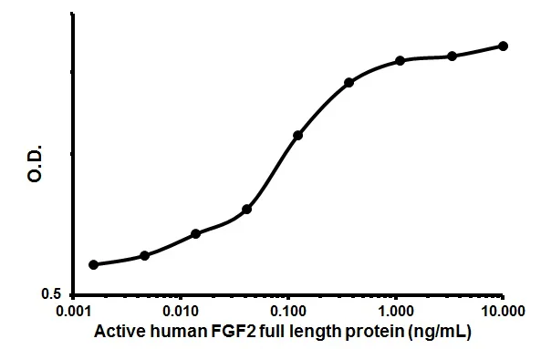 Functional Studies (Act) - Recombinant human FGF2 protein (AB61845)