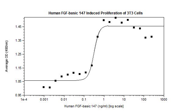 Functional Studies - Recombinant human FGF2 protein (AB61845)