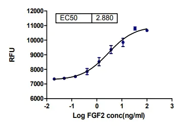 Functional Studies - Recombinant human FGF2 protein (Active) (AB285462)