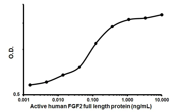 Cellular Activation - Recombinant human FGF2 protein (Animal Free) (AB179489)