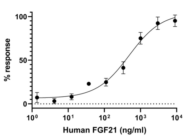 Functional Studies - Recombinant human FGF21 protein (Active) (AB283483), expandable thumbnail