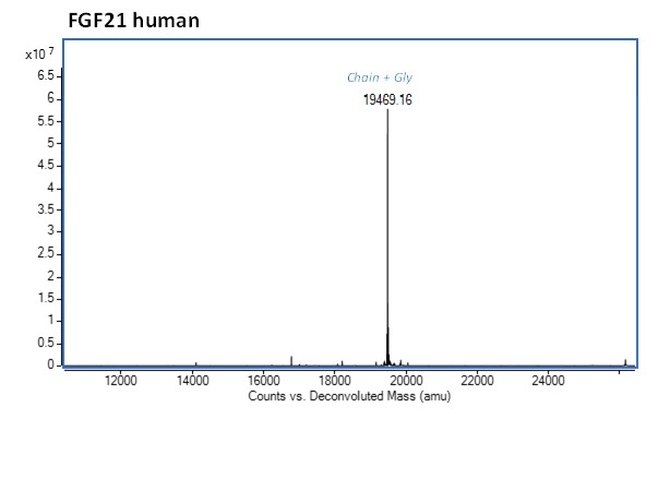 Mass Spectrometry - Recombinant human FGF21 protein (Active) (AB283483), expandable thumbnail