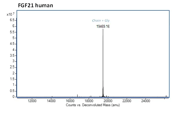 Mass Spectrometry - Recombinant human FGF21 protein (Active) (AB283483)