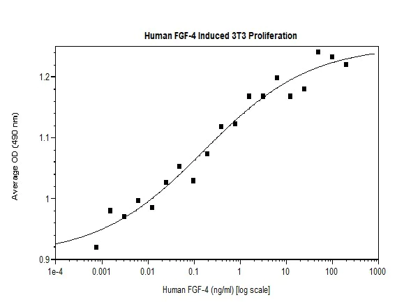 Functional Studies - Recombinant human FGF4 protein (Active) (AB269168)