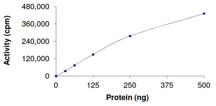 Functional Studies - Recombinant human FGFR1 (mutated V561M) protein (Active) (AB268561)