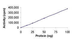 Recombinant human FGFR1 protein