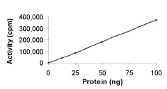 Functional Studies - Recombinant human FGFR1 protein (AB60853)