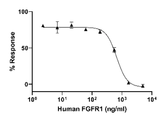 Functional Studies - Recombinant Human FGFR1 Protein (Active) (AB290111)