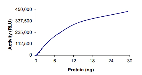 Functional Studies - Recombinant human FGFR1OP-FGFR1 protein (AB201397)