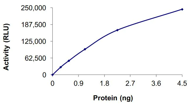 Functional Studies - Recombinant human FGFR2 (mutated C491A) protein (Active) (AB268562)
