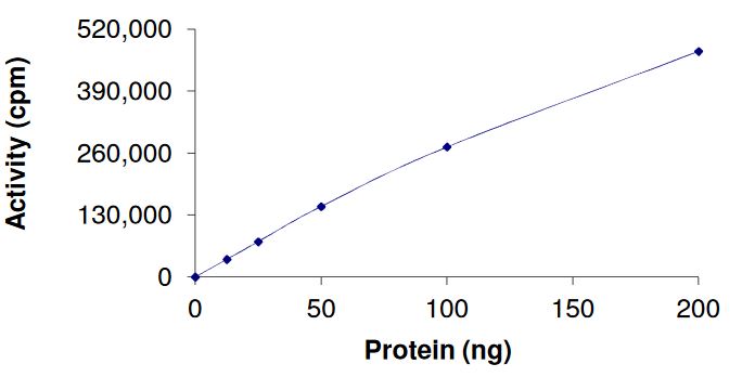Recombinant human FGFR2 (mutated E565G) protein (Active)