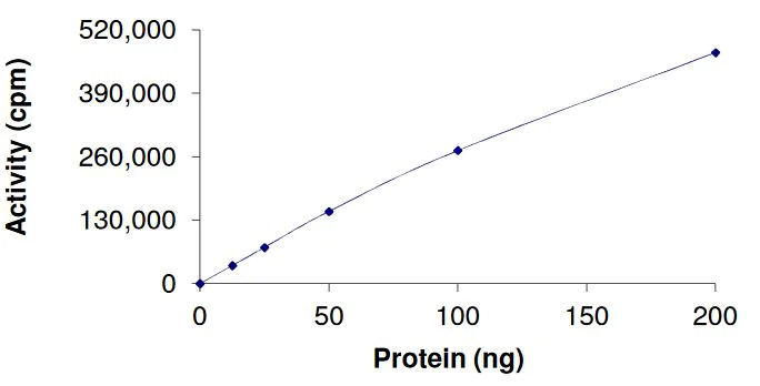 Functional Studies - Recombinant human FGFR2 (mutated E565G) protein (Active) (AB268565)