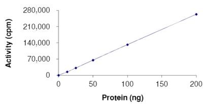 Functional Studies - Recombinant human FGFR2 (mutated K526E) protein (AB180049), expandable thumbnail