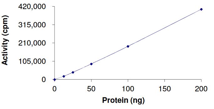 Recombinant human FGFR2 (mutated K641R) protein (Active)