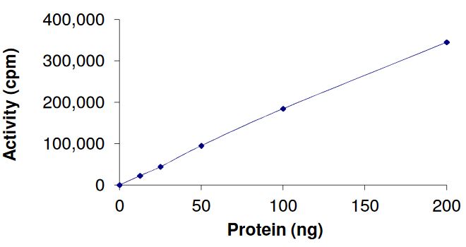 Recombinant human FGFR2 (mutated K659N) protein (Active)