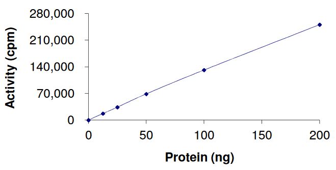 Recombinant human FGFR2 (mutated N549H) protein (Active)