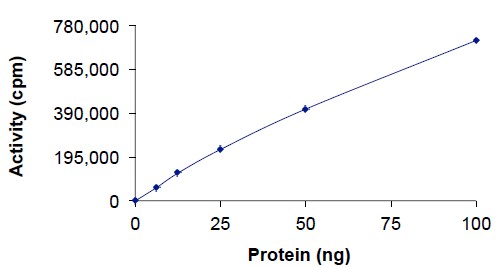 Functional Studies - Recombinant human FGFR2 (mutated V564F) protein (AB204104), expandable thumbnail