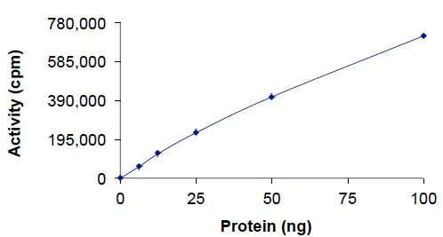 Functional Studies - Recombinant human FGFR2 (mutated V564F) protein (AB204104)