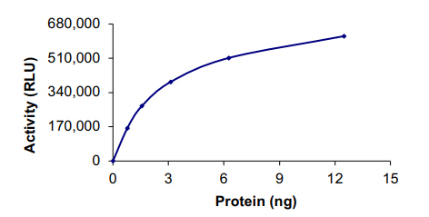 Functional Studies - Recombinant human FGFR2 (mutated V564F) protein (AB204104), expandable thumbnail