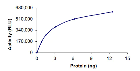 Functional Studies - Recombinant human FGFR2 (mutated V564F) protein (AB204104)
