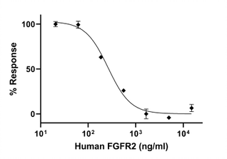 Biochemical assay - Recombinant Human FGFR2 protein (Active) (AB287927)