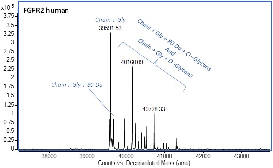 Mass Spectrometry - Recombinant Human FGFR2 protein (Active) (AB287927)