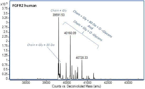 Mass Spectrometry - Recombinant Human FGFR2 protein (Active) (AB287927)