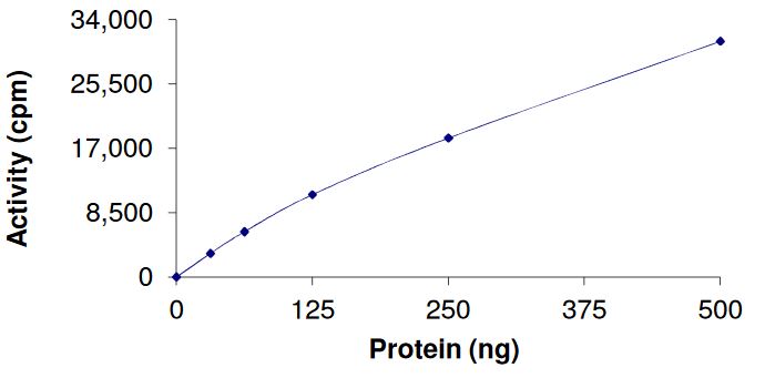 Functional Studies - Recombinant human FGFR3 (mutated G697C) protein (Active) (AB268571), expandable thumbnail