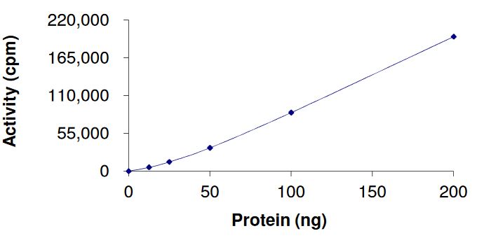 Functional Studies - Recombinant human FGFR3 (mutated K650M) protein (Active) (AB268573)
