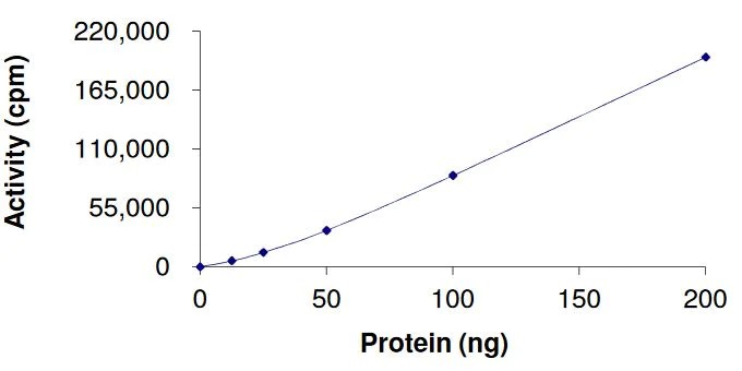 Functional Studies - Recombinant human FGFR3 (mutated K650M) protein (Active) (AB268573)