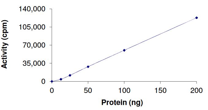 Recombinant human FGFR3 (mutated K650Q) protein (Active)