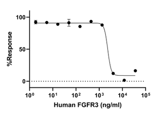 Functional Studies - Recombinant Human FGFR3 Protein (Active) (AB290073)