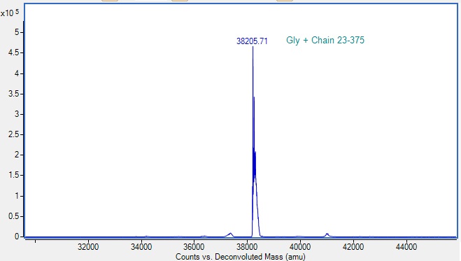Recombinant Human FGFR3 Protein (Active)