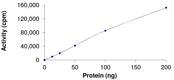Recombinant human FGFR4 (mutated N535K) protein (Active)