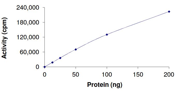 Functional Studies - Recombinant human FGFR4 (mutated V550E) protein (Active) (AB268576), expandable thumbnail