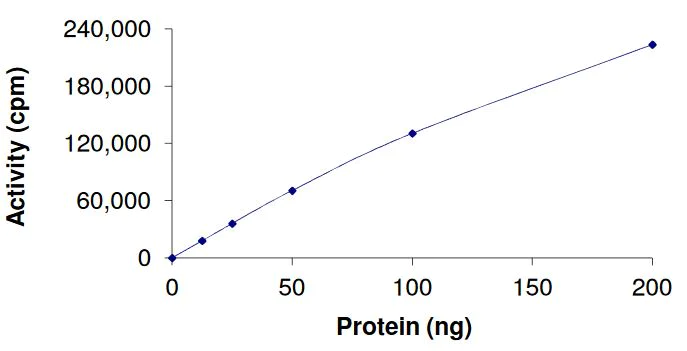 Functional Studies - Recombinant human FGFR4 (mutated V550E) protein (Active) (AB268576)