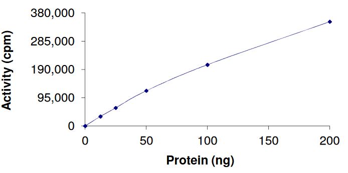 Recombinant human FGFR4 (mutated V550L) protein (Active)