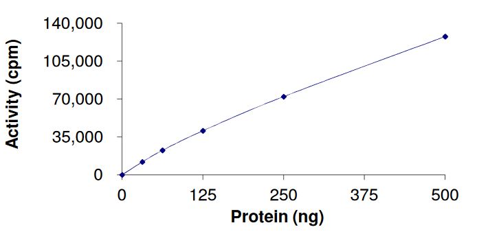 Functional Studies - Recombinant human FGFR4 (mutated V550M) protein (Active) (AB268578)