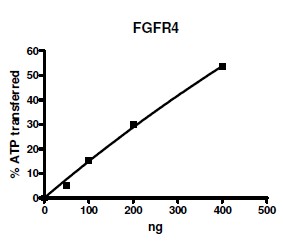 Functional Studies - Recombinant human FGFR4 protein (AB135023), expandable thumbnail
