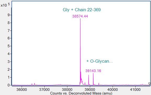 Mass Spectrometry - Recombinant Human FGFR4 Protein (Active) (AB290077), expandable thumbnail