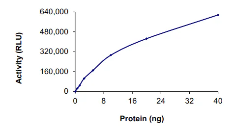 Functional Studies - Recombinant human FGR protein (GST tag N-Terminus) (AB60854)