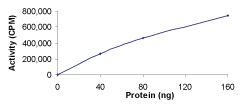 Functional Studies - Recombinant human FGR protein (GST tag N-Terminus) (AB60854)