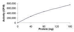 Functional Studies - Recombinant human FGR protein (GST tag N-Terminus) (AB60854)